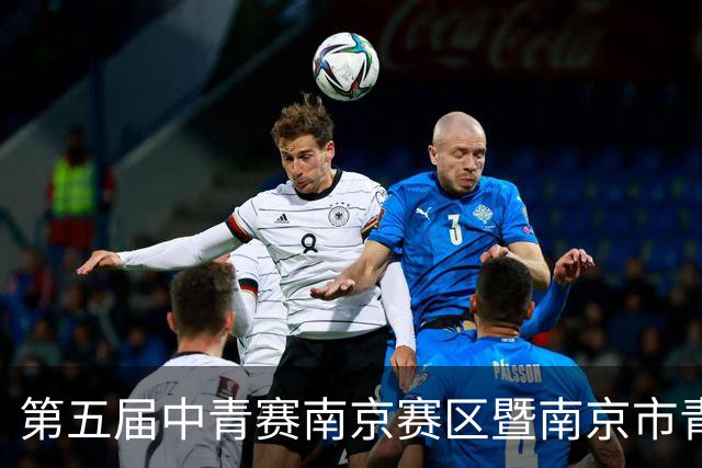 第五届中青赛南京赛区暨南京市青少年足球联赛男子U15组收官